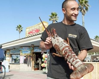 Американец поймал гигантского омара