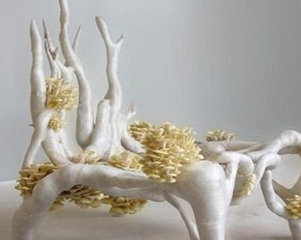 Стул из грибов