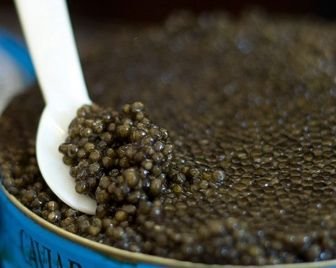 Самая большая банка чёрной икры