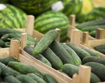 Преступник пойман благодаря огурцу