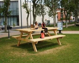 Самый большой стол для пикника